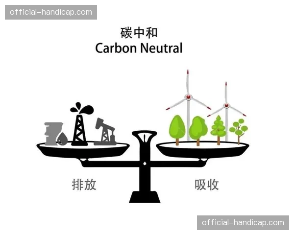 碳中和欧冠：追踪一架载有参赛队的包机从燃料到云端碳补偿的全流程